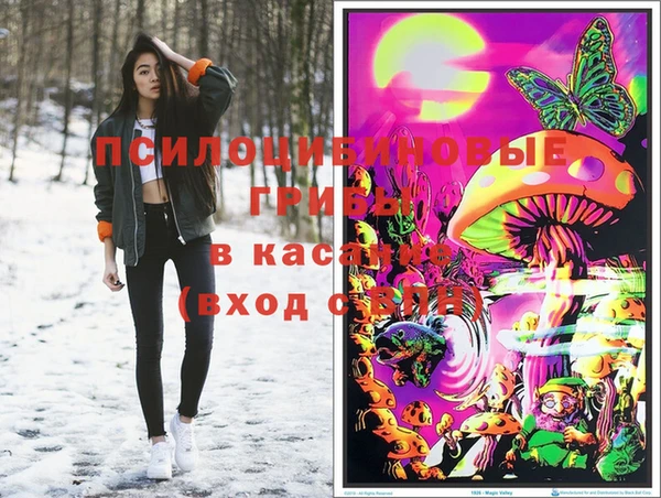 метадон Алзамай