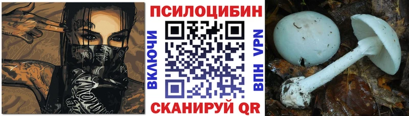 даркнет сайт  Абдулино  Псилоцибиновые грибы мицелий 